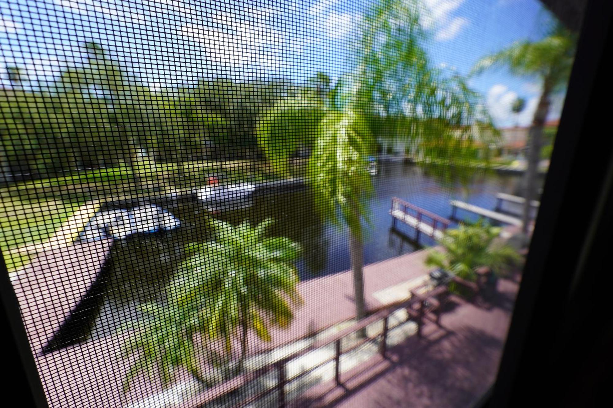 Florida Condos On Lake Tarpon Palm Harbor Kültér fotó